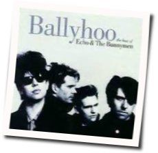 Thorn Of Crowns by Echo & The Bunnymen