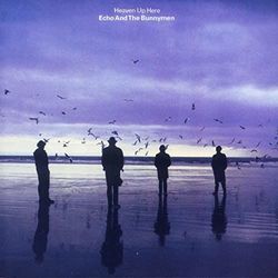 Echo & The Bunnymen chords for Turquoise days