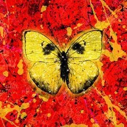 Shivers (Ver2) Chords by Ed Sheeran