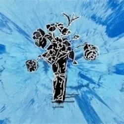 Supermarket Flowers Acoustic Chords by Ed Sheeran