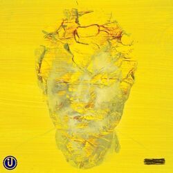 Wildflowers Tab by Ed Sheeran