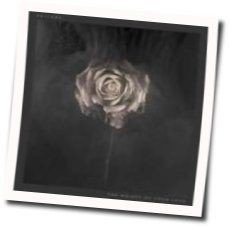 Nothing Acoustic Chords by Editors