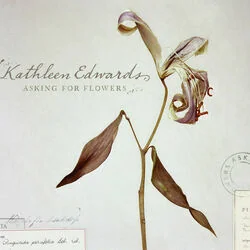 Sure As Shit Chords by Kathleen Edwards
