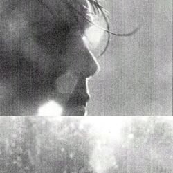 Wenn Alle Stricke Reissen by Edwin Rosen