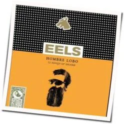 Beginners Luck Chords by EELS