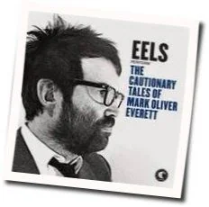 Mistakes Of My Youth Chords by EELS