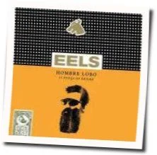 You're My Friend Bass Tab by EELS