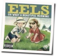 Birdgirl On A Cell Phone Chords by EELS