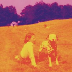 From Which I Came - A Magic World Bass Tab by EELS