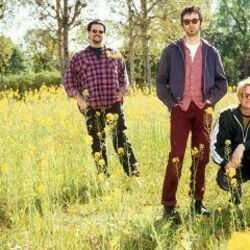 Going Fetal Chords by EELS