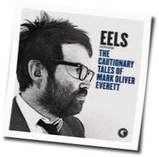 Mistakes Of My Youth by EELS