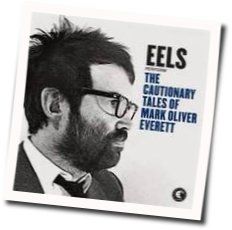 Mistakes Of My Youth Chords by EELS