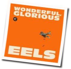 Wonderful Glorious by EELS