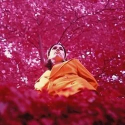 Ladder Chords by EERA