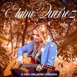 O Meu Milagre Chegou by Elaine Queiroz