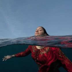 Bring Down Those Walls Chords by Elana Stone