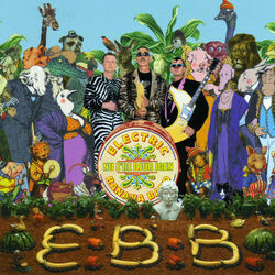 Hårda Paket Chords by Electric Banana Band