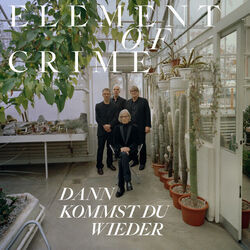 Dann Kommst Du Wieder Chords by Element Of Crime