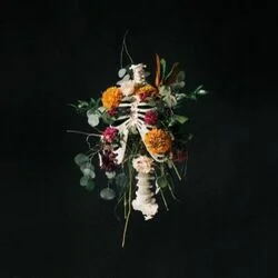 No One Chords by Elevation Worship