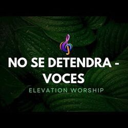 No Se Detendra Chords by Elevation Worship