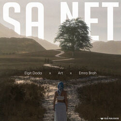 Sa Net Chords by Elgit Doda, Art, Emra Brah