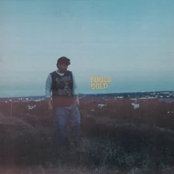 Fools Gold by Eli Gable