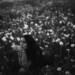 Sweet Night Acoustic Chords by Elina