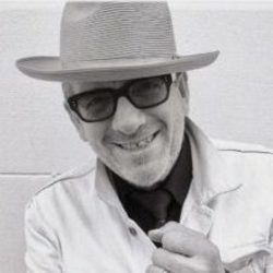 Newspaper Pane Bass Tab by Elvis Costello