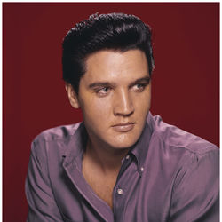 Baby Let's Play House Chords by Elvis Presley