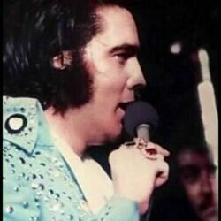 Help Me Chords by Elvis Presley