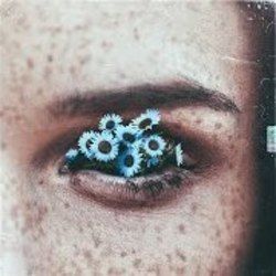 Girasoli Chords by Emanuele Aloia