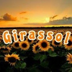 Girassol Chords by Emily Bontemps
