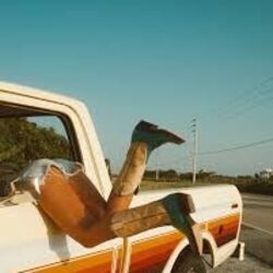 Old Trucks Chords by Emily Zeck
