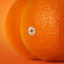 West Coast Love Bass Tab by Emotional Oranges