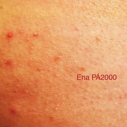 és Cruel Chords by Ena Pá 2000