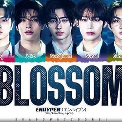 Blossom Chords by ENHYPEN