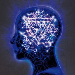 Never Let Go Of The Microscope Bass Tab by Enter Shikari