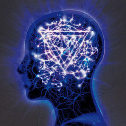 Never Let Go Of The Microscope Bass Tab by Enter Shikari