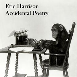 Accidental Poetry Chords by Eric Harrison