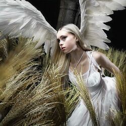 Godspeed Chords by Erin LeCount