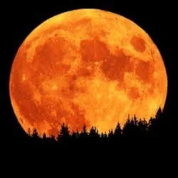 Orange Moon Ukulele Chords by Erykah Badu