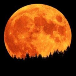 Orange Moon Ukulele Chords by Erykah Badu