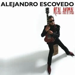 Slow Down Chords by Alejandro Escovedo