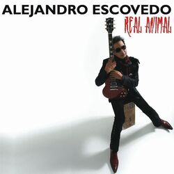 Slow Down Chords by Alejandro Escovedo