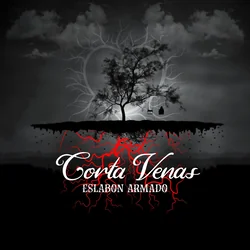 Amigos Con Derechos Chords by Eslabon Armado