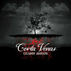 Jugaste Y Sufri Chords by Eslabon Armado