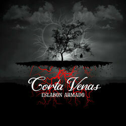 Jugaste Y Sufri Intro by Eslabon Armado