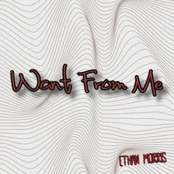 Want From Me Chords by Ethan Morris