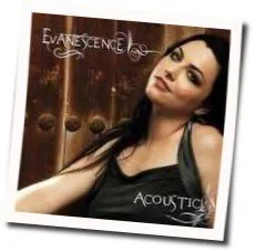 Heart Shaped Box Acoustic Tab by Evanescence