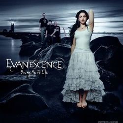 Bring Me To Life  by Evanescence